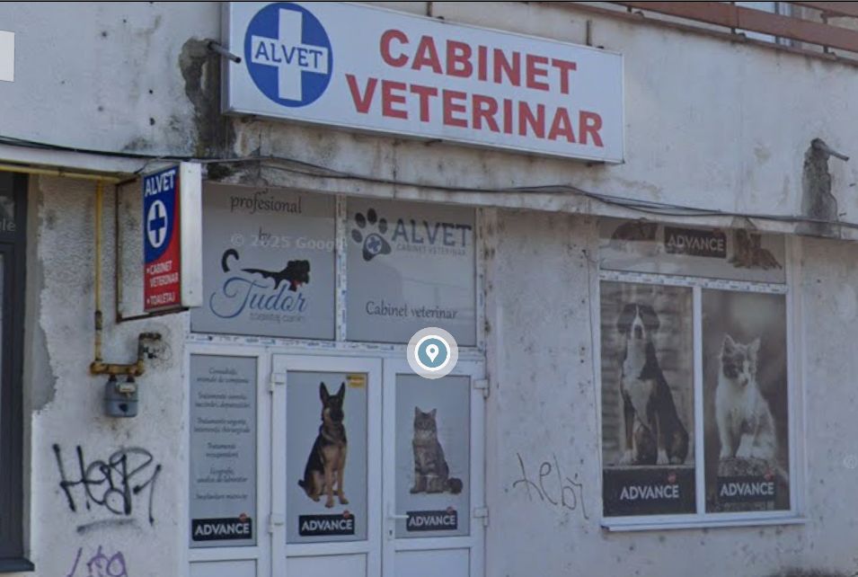 Alvet