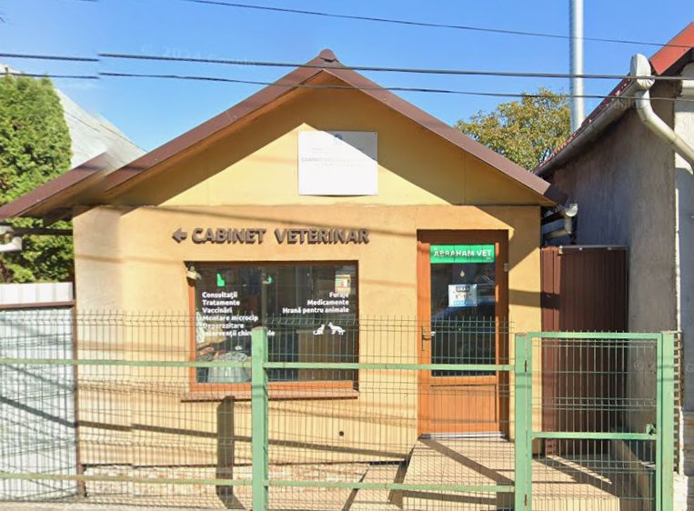 Abraham Vet