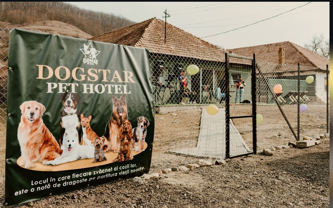 DogStar Pet Hotel